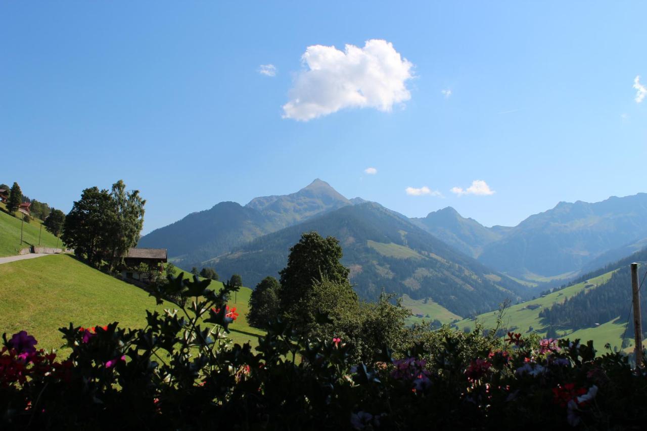 Hotel Alpengasthof Rossmoos Alpbach Exteriér fotografie