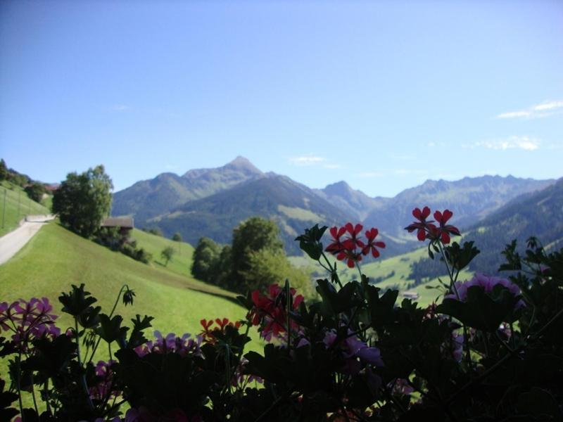 Hotel Alpengasthof Rossmoos Alpbach Exteriér fotografie